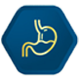 Simple illustration of a stomach with liquid contents